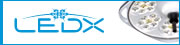 LEDX
